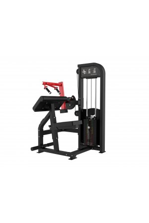 N-5011 Biceps Curl